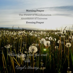 The Flower of Manifestation mp3